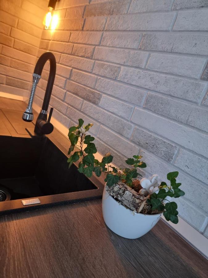 Apartamento The Cozy Bunker Sibiu Exterior foto