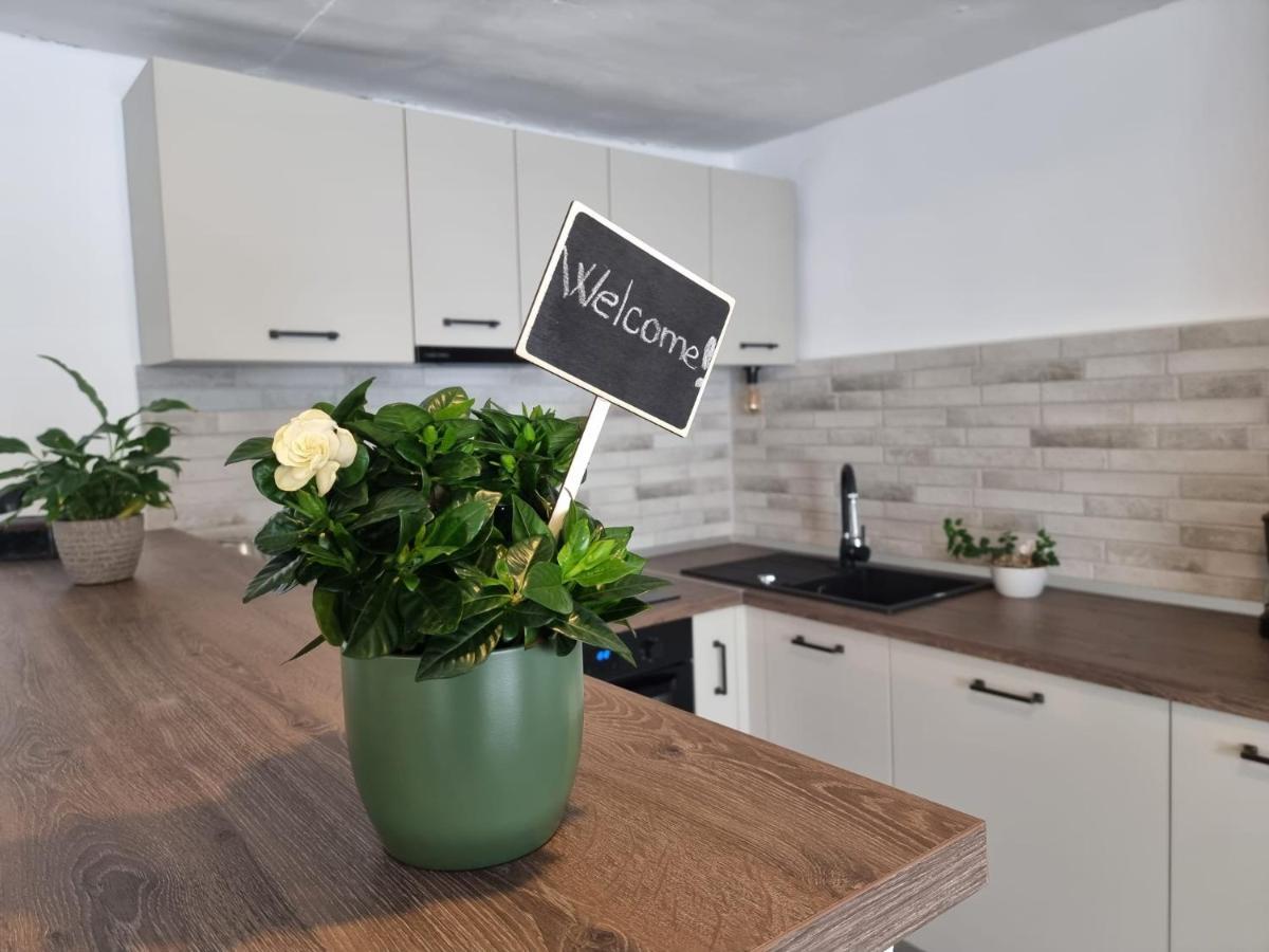 Apartamento The Cozy Bunker Sibiu Exterior foto